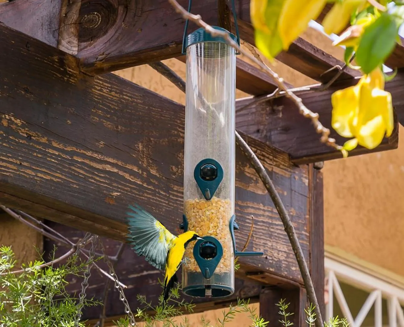 Botanic Bliss Living In Kingston 아파트