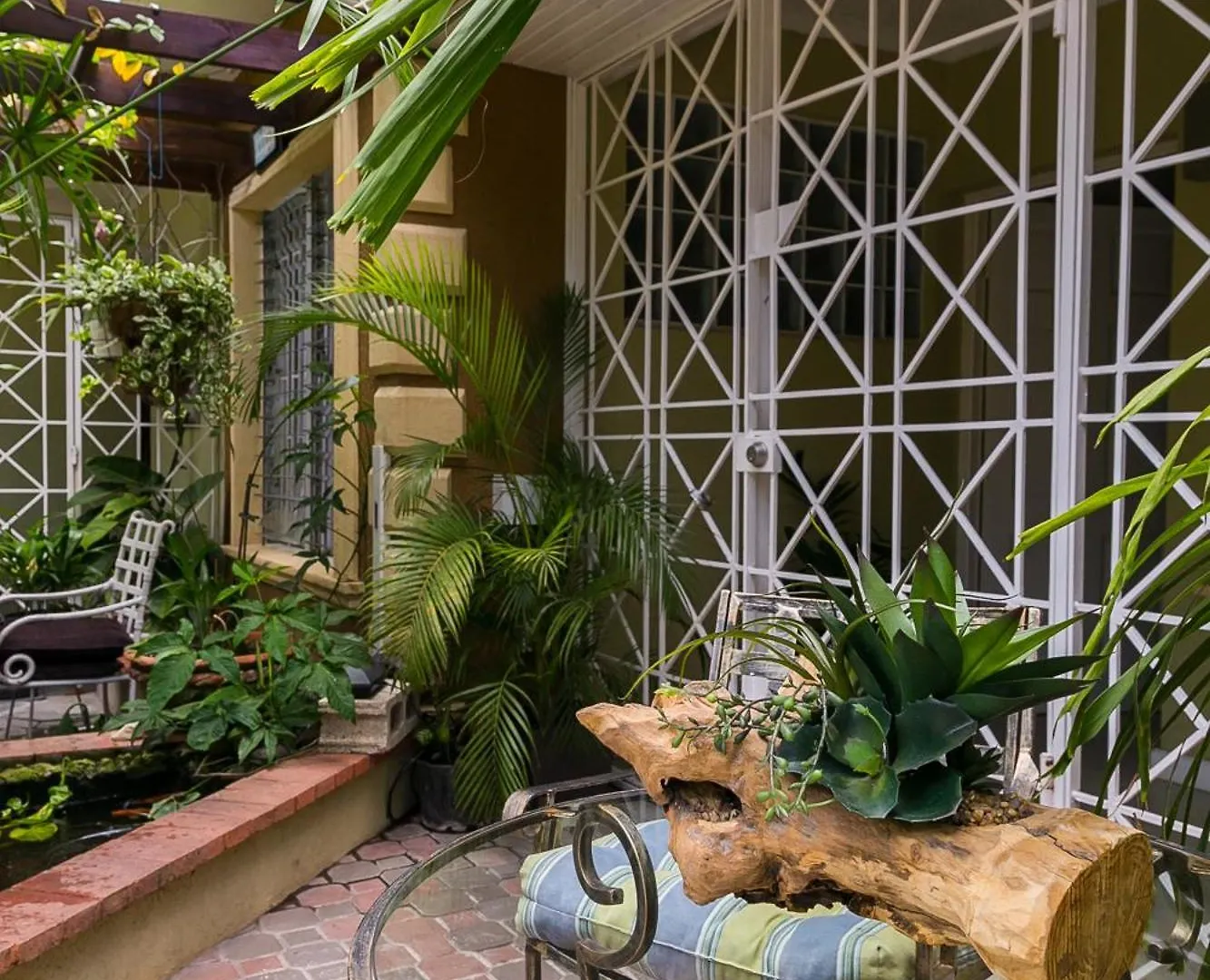 Botanic Bliss Living In Kingston Apartment