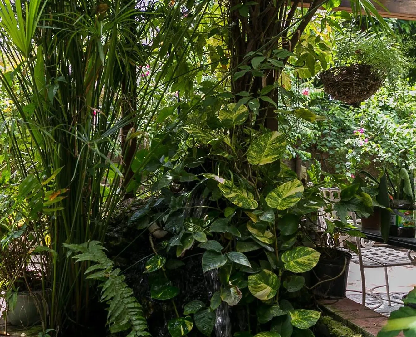 Botanic Bliss Living In Kingston Apartment Jamaica